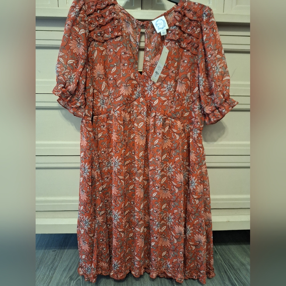 NWT Francesca's Dress large